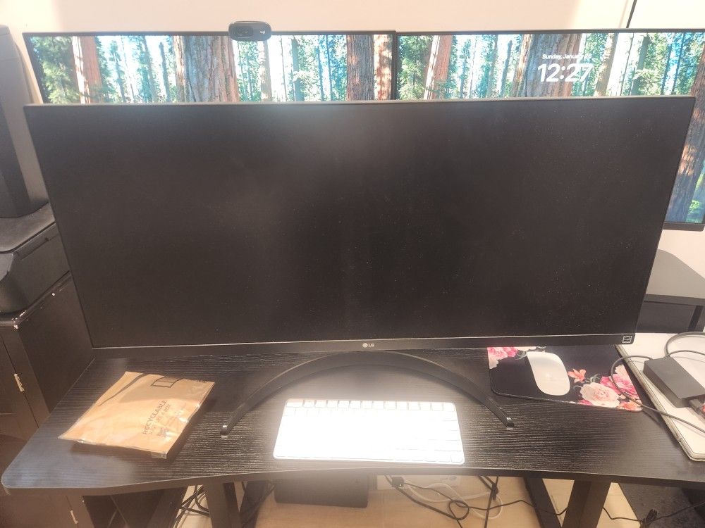 LG 34 Inch Monitor 34WP500