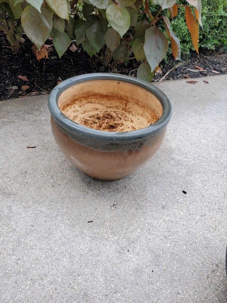 Flower Pot