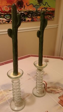 Candle sticks cactus