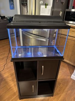 Fish Tank