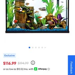 Fish Tank