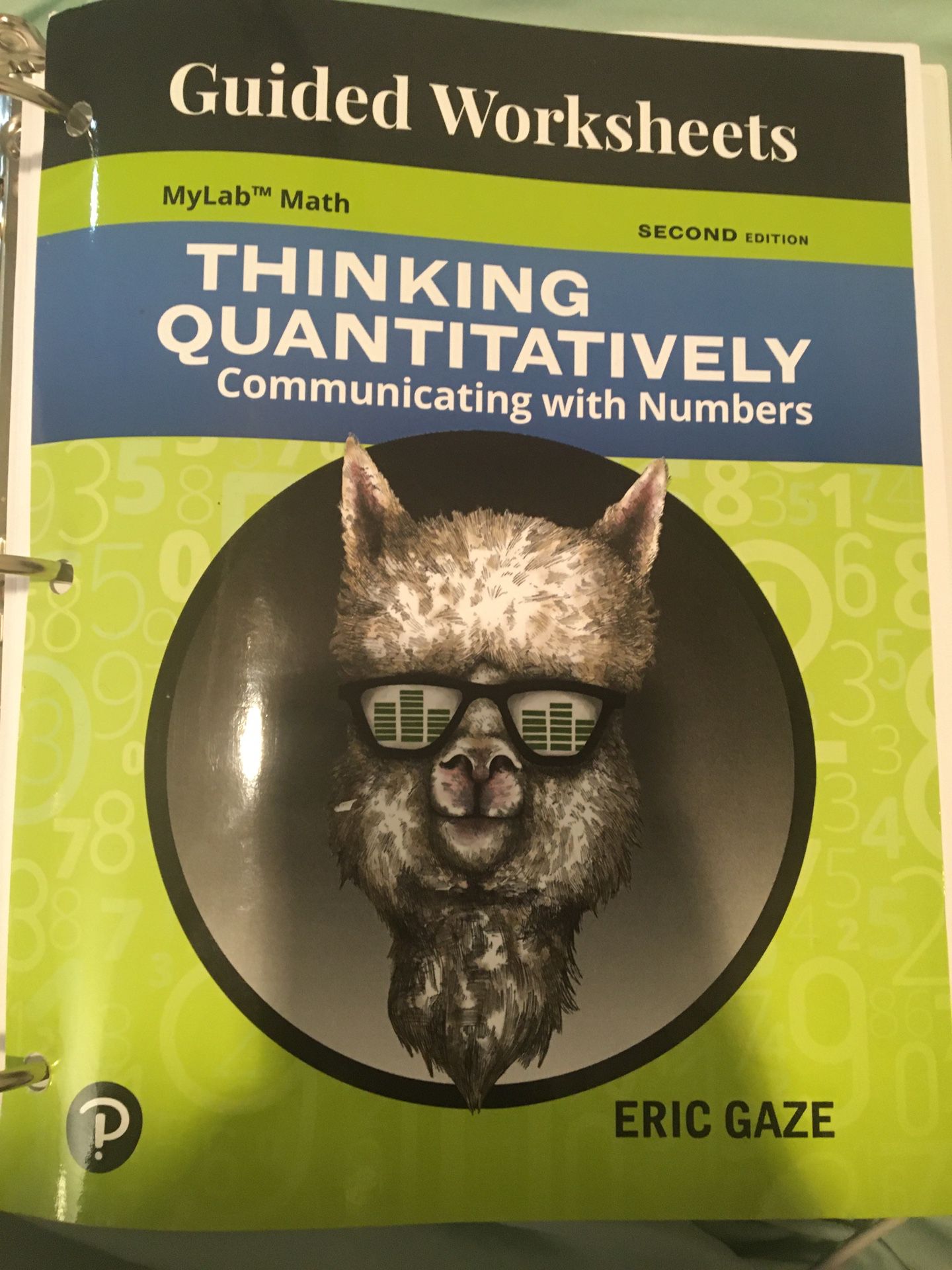 Thinking Quantitatively guided worksheet