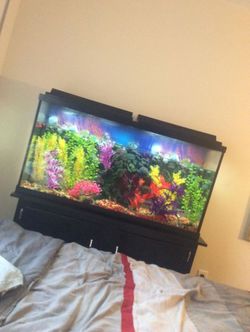 Aquarium