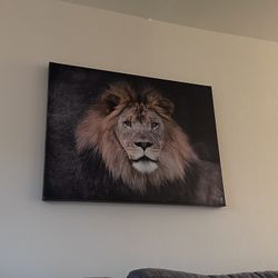 Lion Canvas Wall Print
