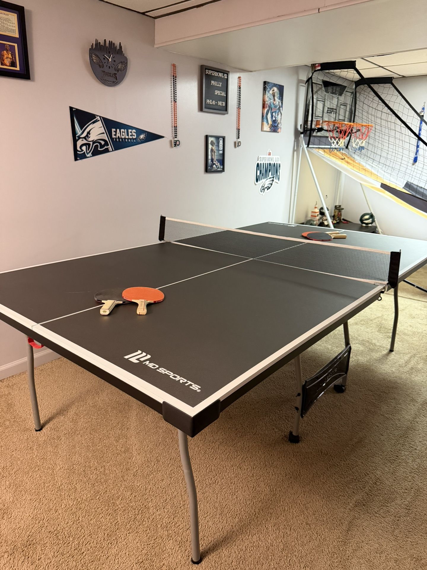 Ping- Pong Table 
