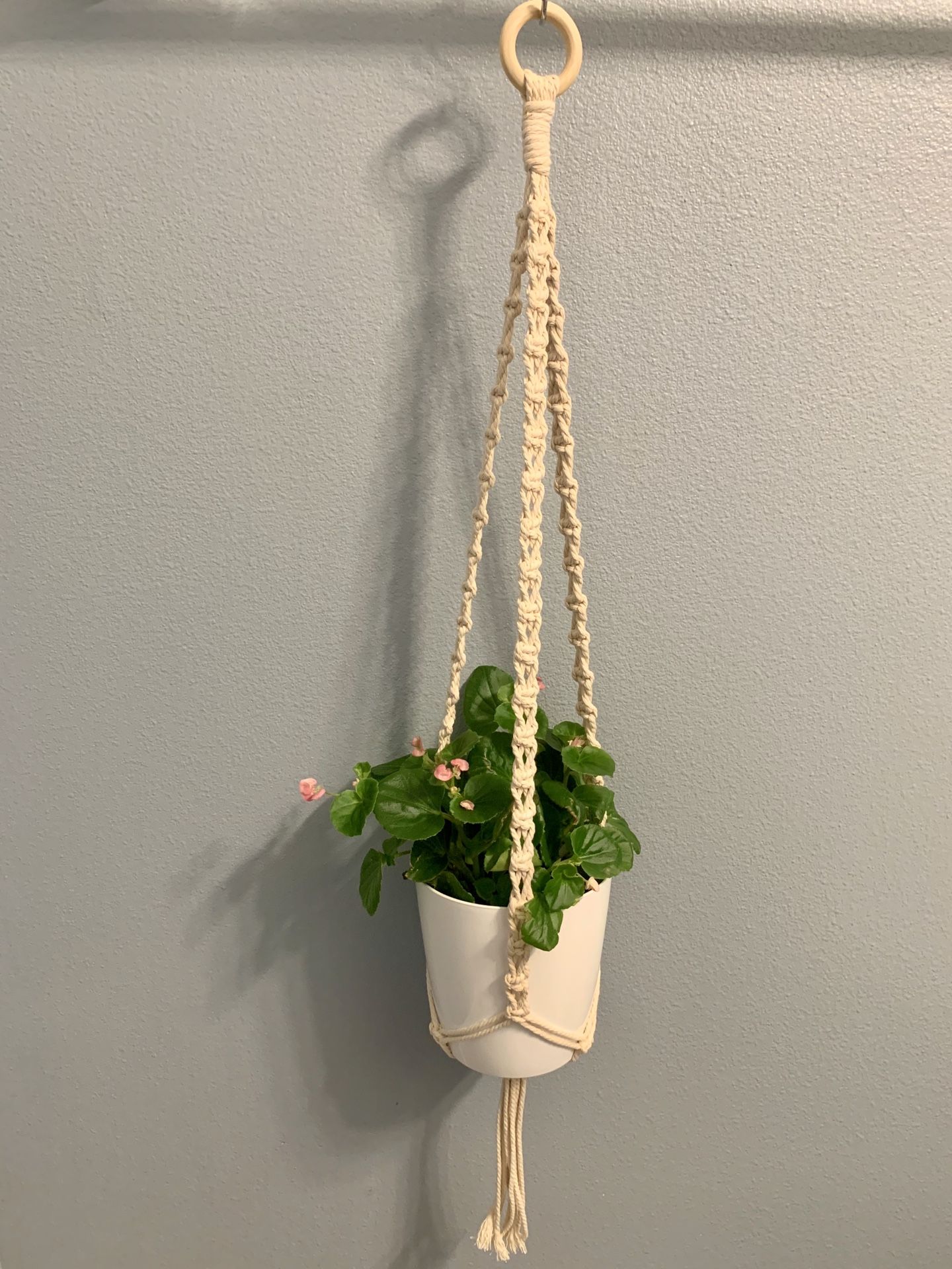 Macrame Plant Hanger