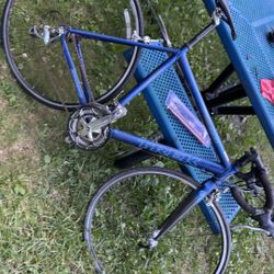 Trek 1000