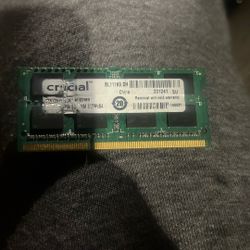 Crucial Memory Module