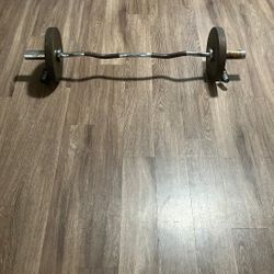 Curl Bar