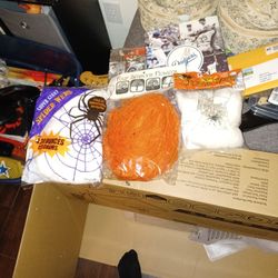 Spiderweb Decoration  Also Four Season Flowers 