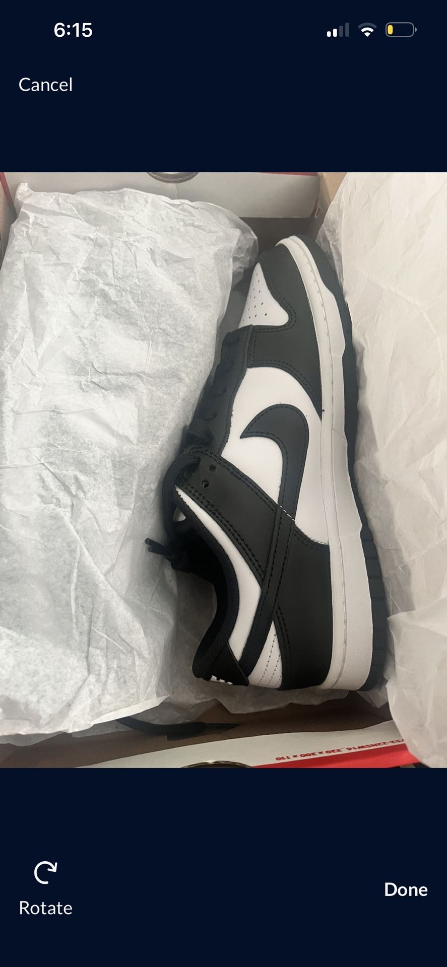 new Nike Panda Dunks