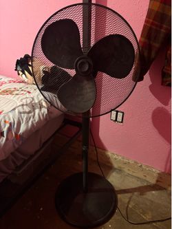 Fan