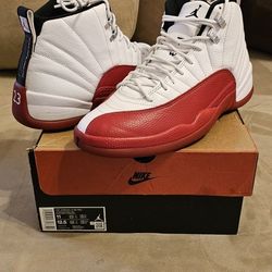 Jordan Retro 12 Cherry DMP Gratitude 5 Maniere Dusk Military Cement OG  Black Kobe Bred Grinch Chicago Blue Playoff 1 3 4 5 6 7 8 13 11 13 Reverse DB