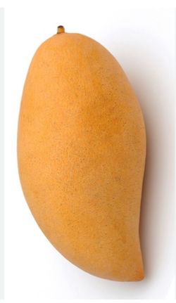 Nam doc mai mango trees
