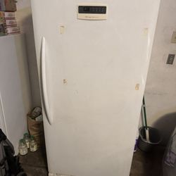 Upright Freezer 