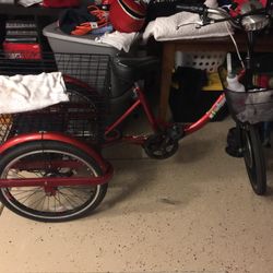 E Trike Electrical Bike