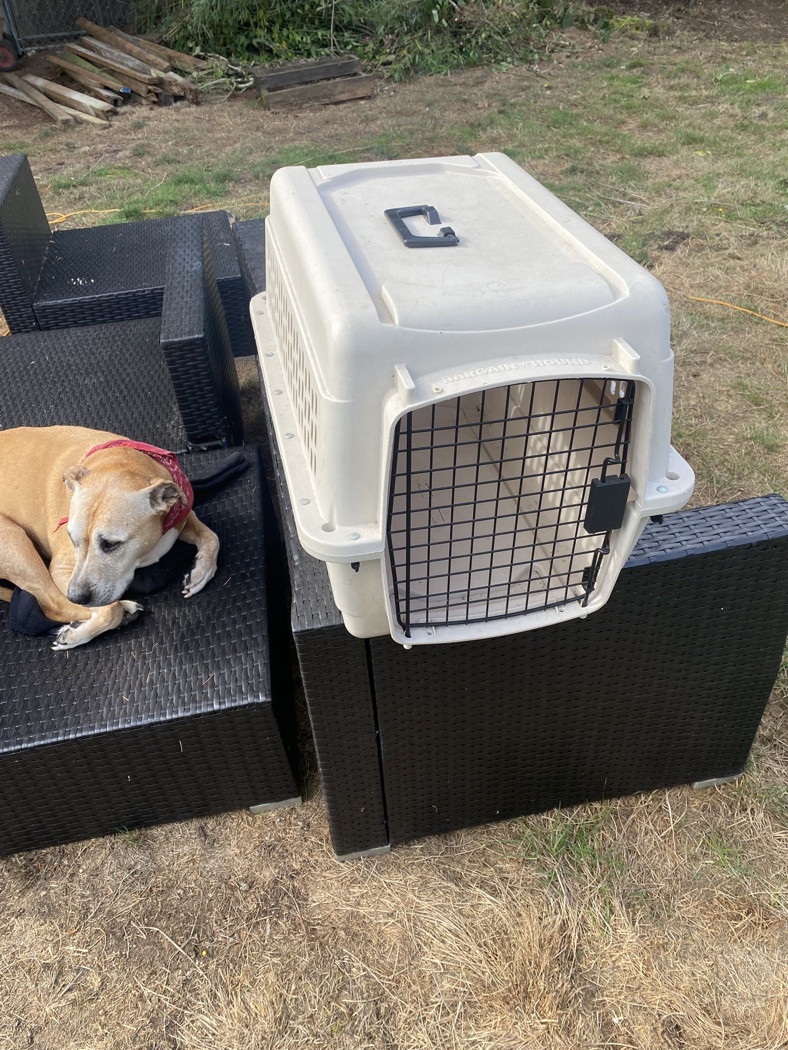 LARGE DOG CRATE