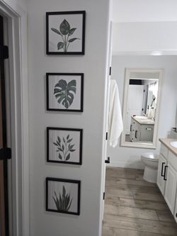 Plant pictures 4 pcs set