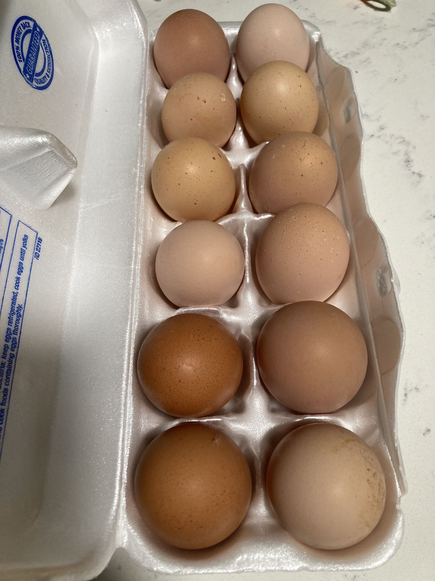 Dozen Eggs