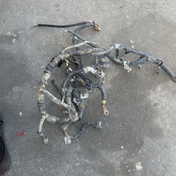 OBD1 Engine Harness