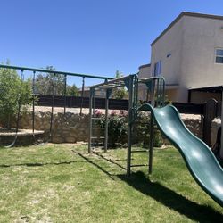 Lifetime Monkey Bar Adventure Swing Set 
