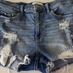 Womens BKE Shorts $8