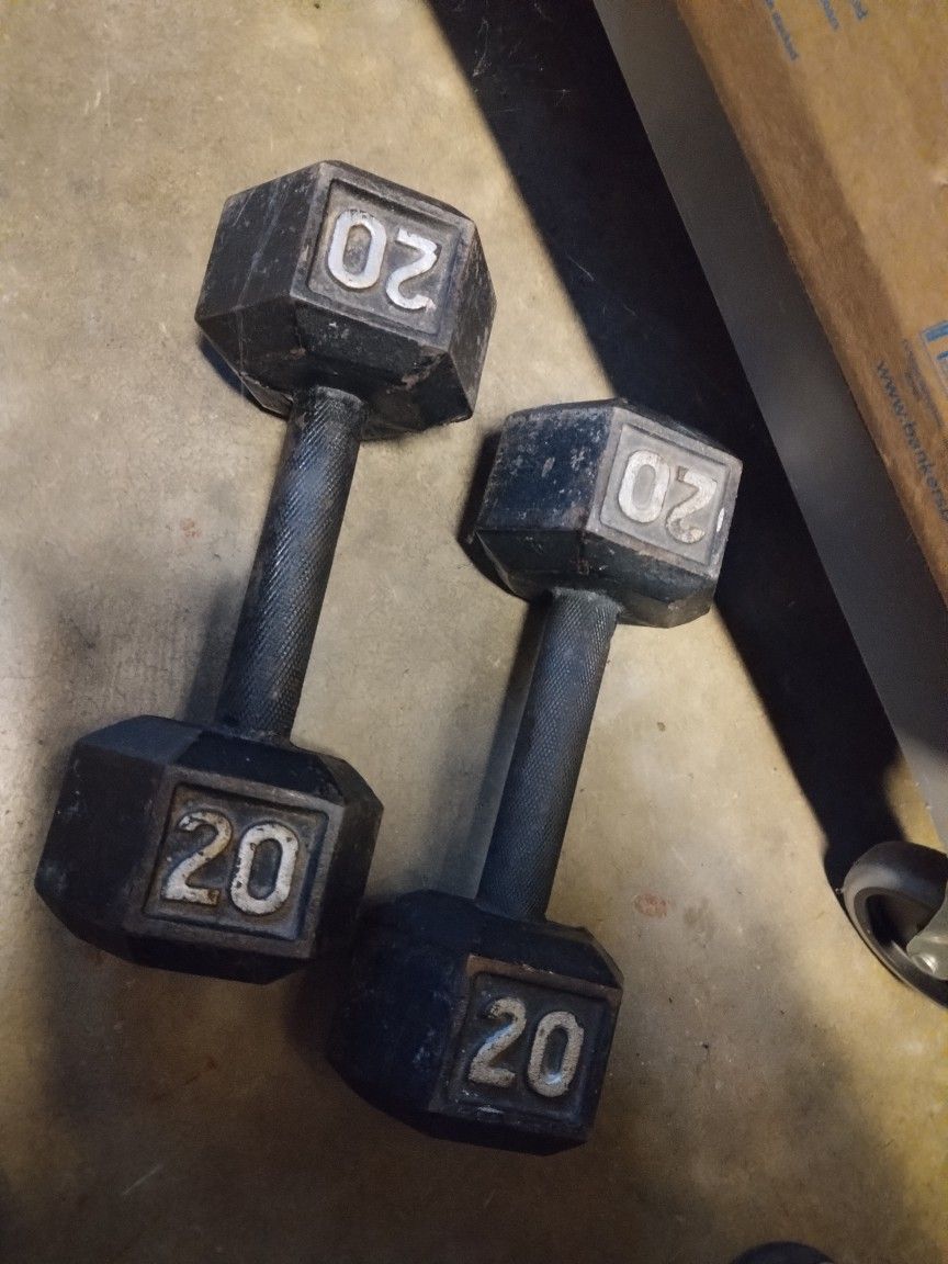 20lbs Dumbbells