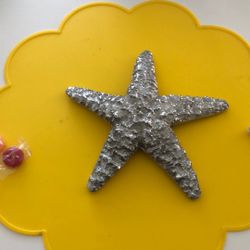 Starfish Paper Weight