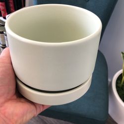 Round Two Pot - Mint