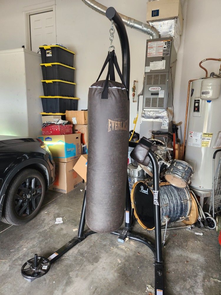 80lb Everlast Punching Bag With Stand And Gloves