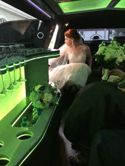 Wedding gown and vail 380 or best offer....must go