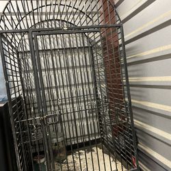 Bird Cage