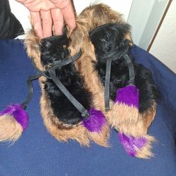 Real Fur Prada Shoes Size 5.5 They Sell Online For 700 These Are In Perfect Condition Make Me An Offer