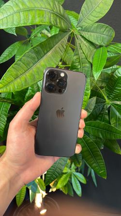 iPhone 13 Pro  - Unlocked - 256GB