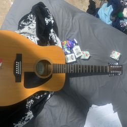 12 String Acoustic Guitar