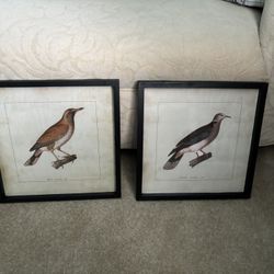 Pair Of bird Prints