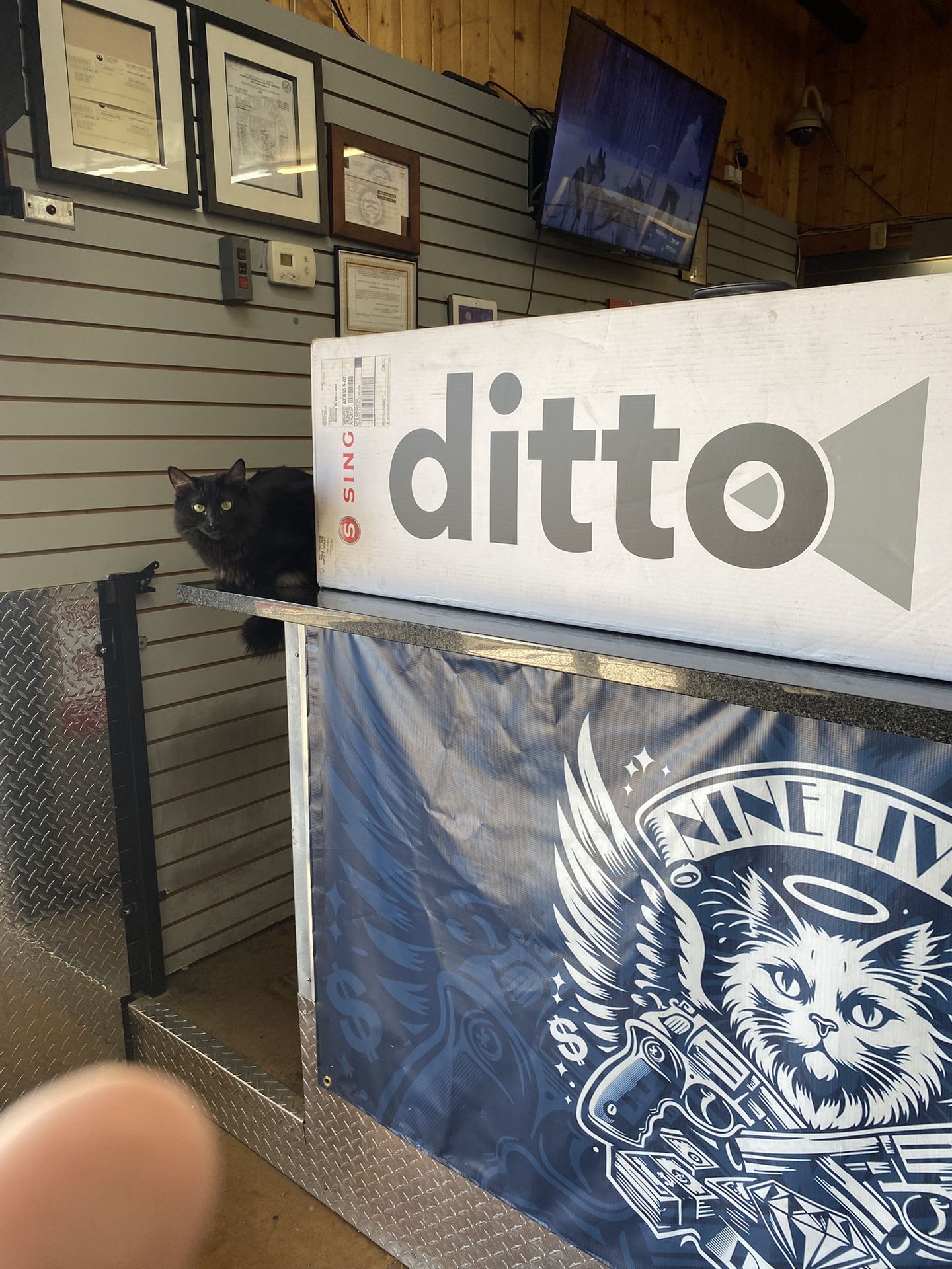 DITTO by Singer