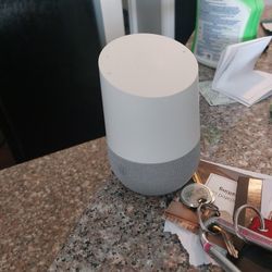 Google Home Device