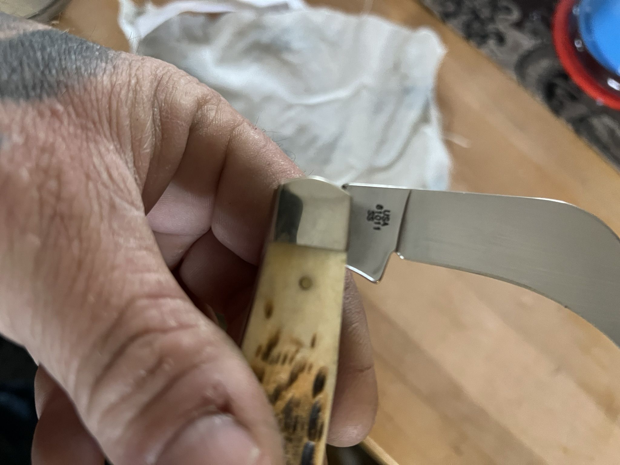 Case Xx Peach seed Pruner