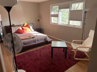 Bed (not including mattress)