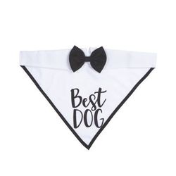 Best Dog Collar/bowtie Bandana