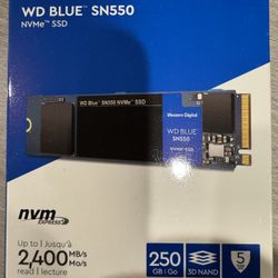Western Digital WD Blue SN550 250GB NVMe SSD