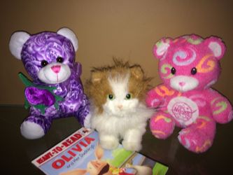 Beautiful Bears for girls and walking and Miau cat