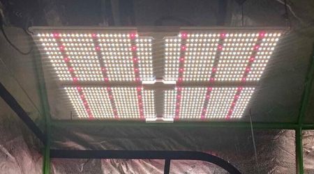 Spider farmer SF4000 430 watt LED board style grow light