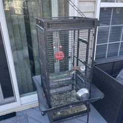 Bird Cage With Viewing Stand On Top And Seed Guard For Cleaner Set Up 