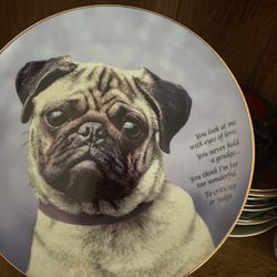 Pug Dog Collector Plate "Eyes of Love" by The Danbury Mint featuring a gold rim and a poem.