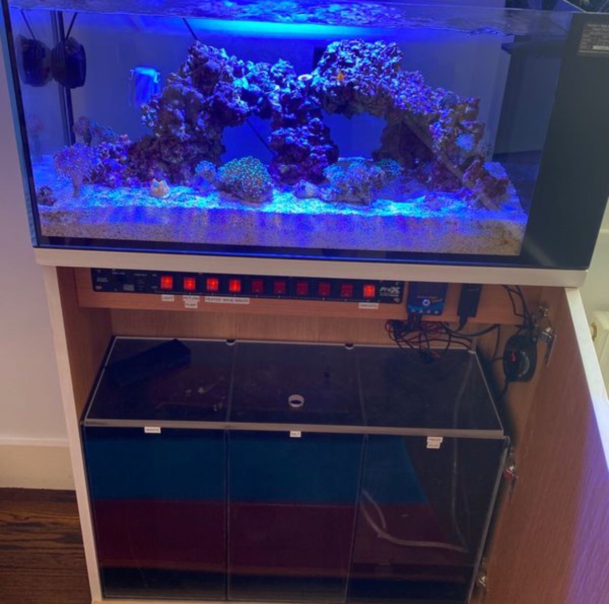 Reef Tank Peninsula For Sale