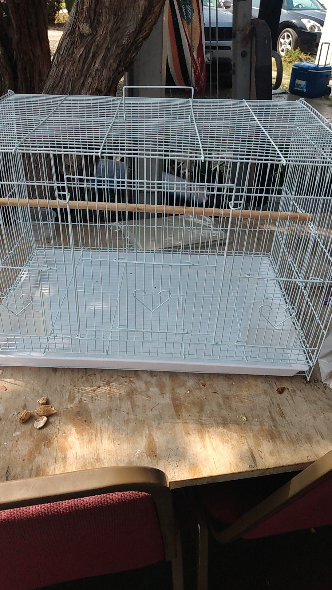Bird cage for "birds" 🐦