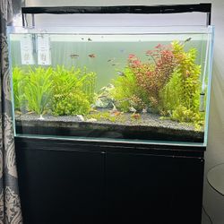 50 Gallon Rimless Low Iron