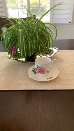 Tea Cup And Saucer